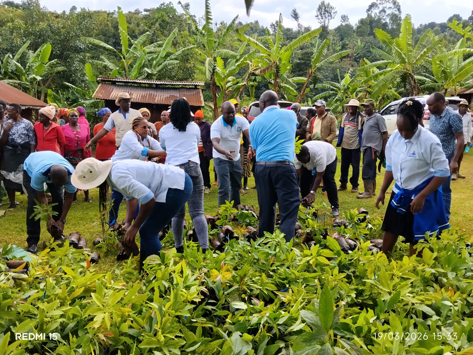 Tree planting to mark International Day of Forests and World Water Day 2026